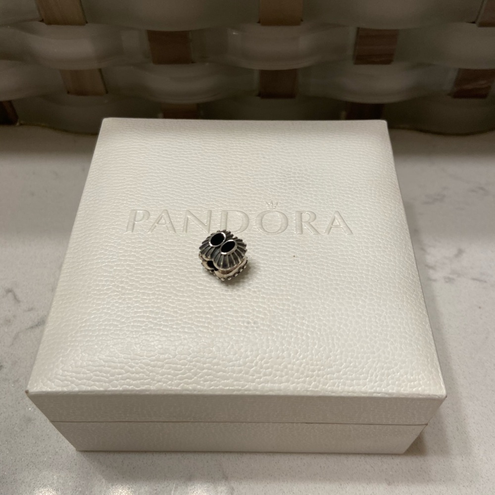 Pandora clip